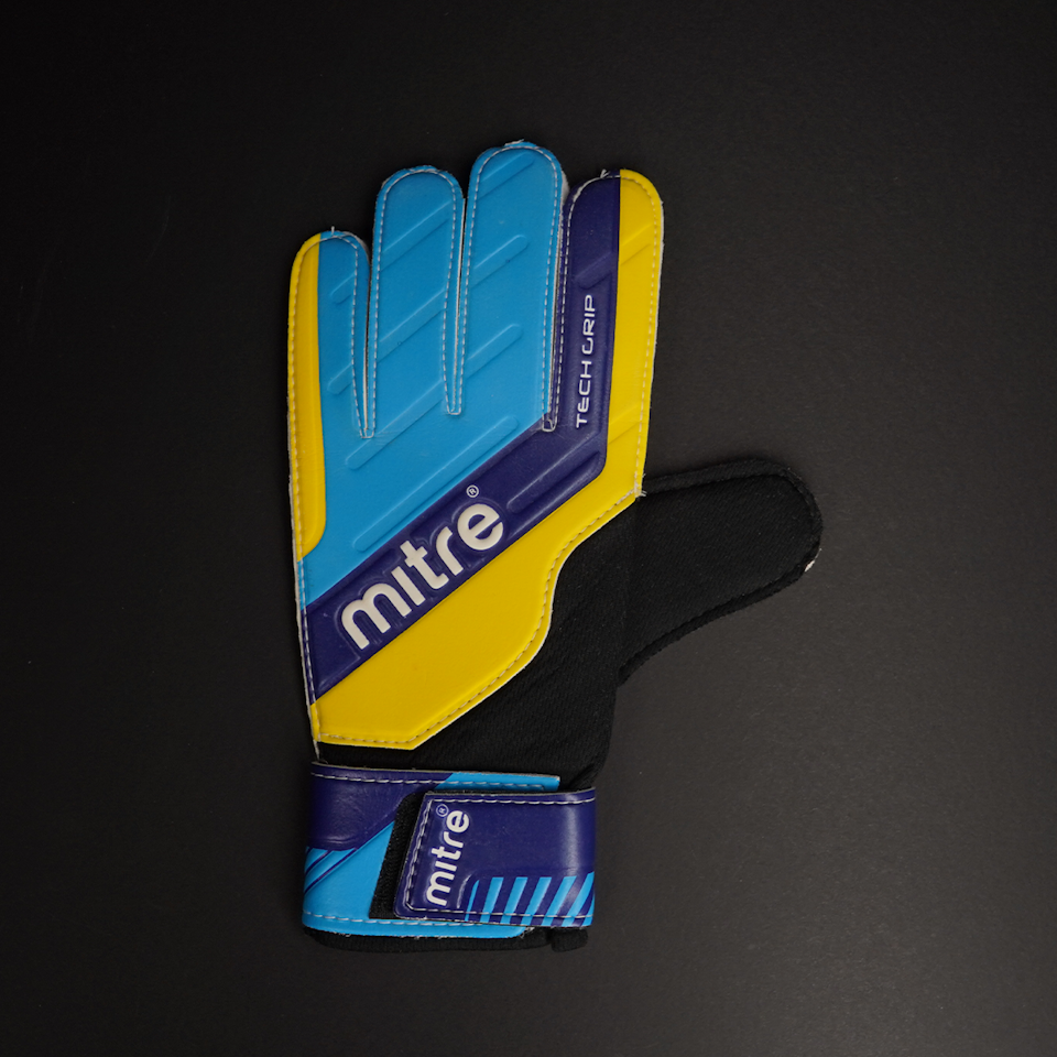 David Seaman Gloves 