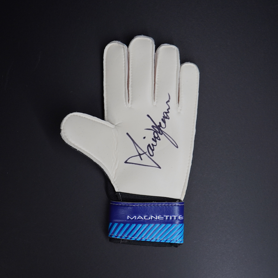 David Seaman Gloves 