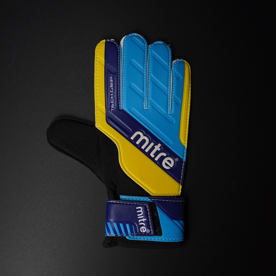 David Seaman Gloves 