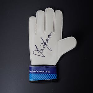 David Seaman Gloves 