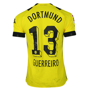 Raphael Guerreiro