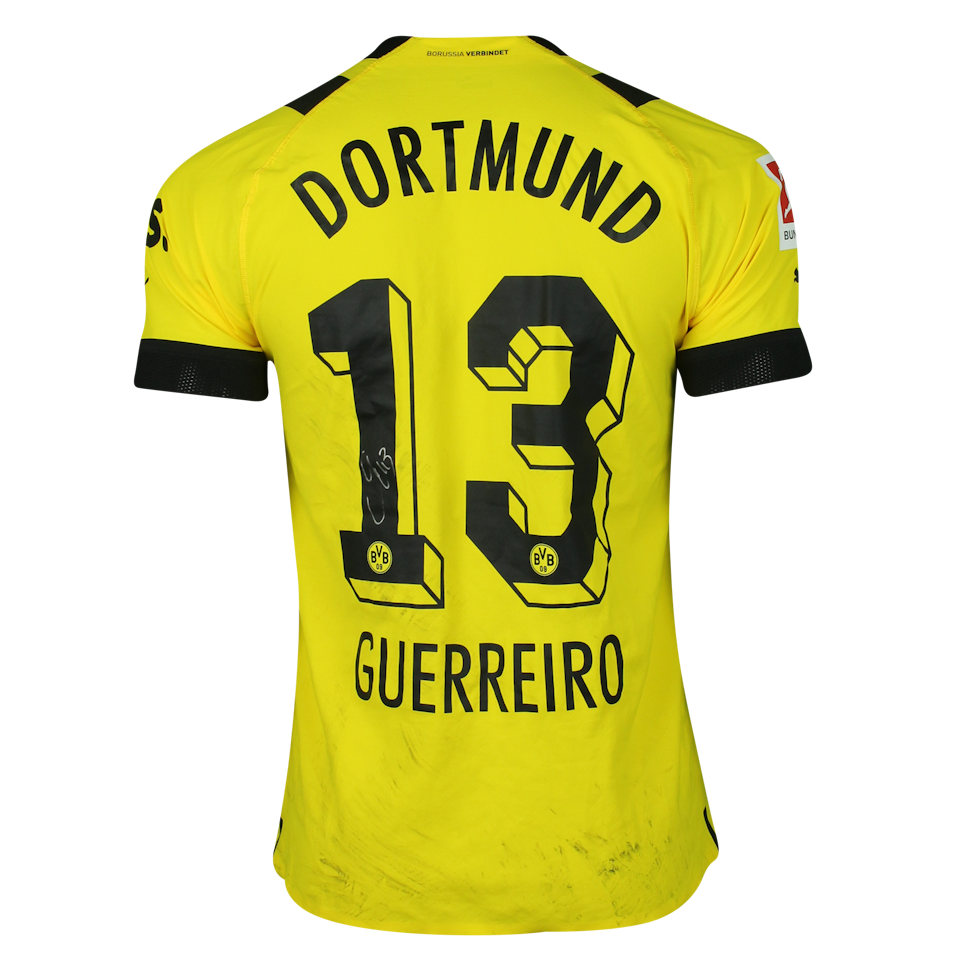 Raphael Guerreiro