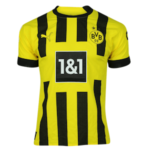 Raphael Guerreiro