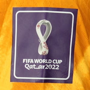 Virgil van Dijk Netherlands shirt