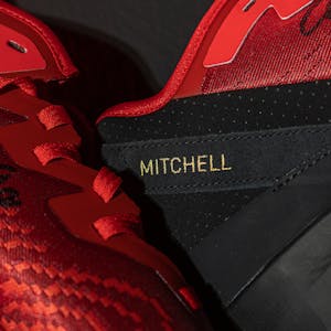 Signed Basketball Shoes - 2