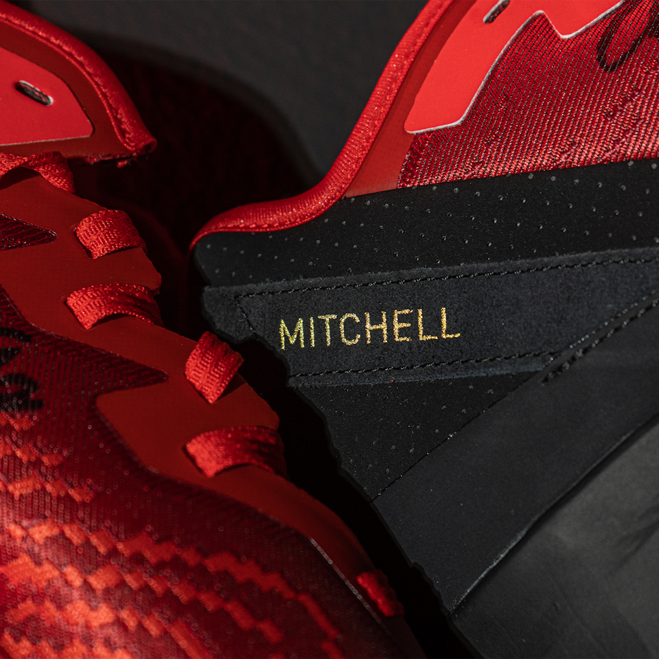 Signed Basketball Shoes - 2