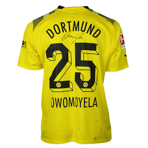 Patrick Owomoyela