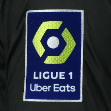 Denis Genreau | Toulouse FC