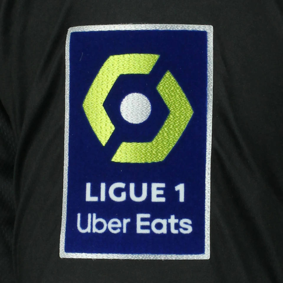 Denis Genreau | Toulouse FC