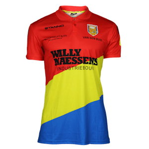 Dario Van den Buijs RKC Waalwijk shirt