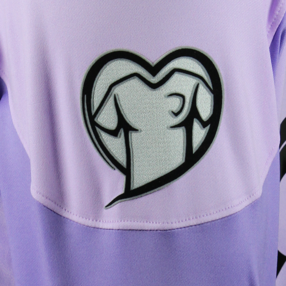 Maillot de Mike Maignan (France)