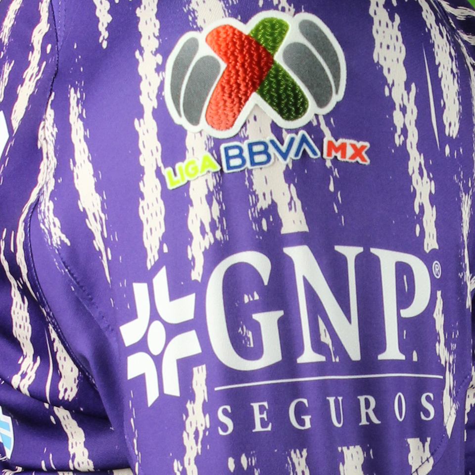 Luis Malagón Club América shirt