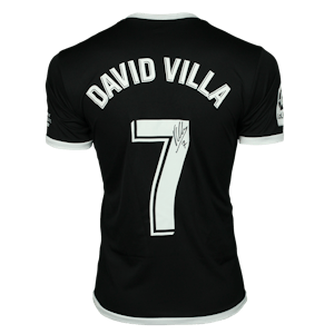 David Villa