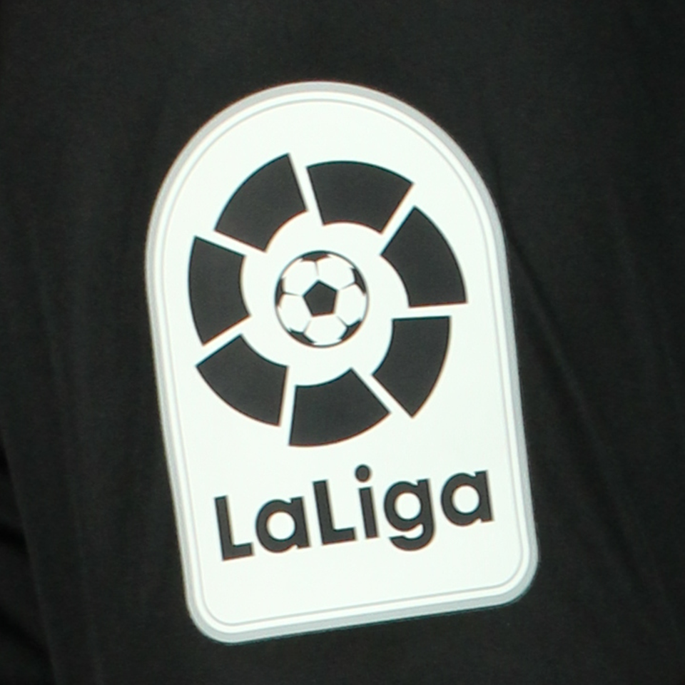 Miguel Ángel Moyá 