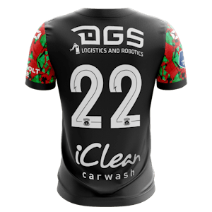 Maillot de Erwin Mulder (Go Ahead Eagles)