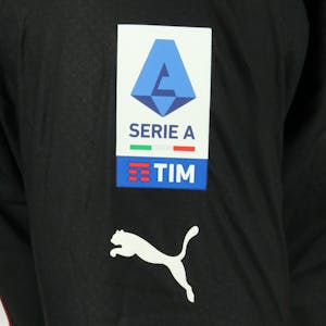 Ante Rebic