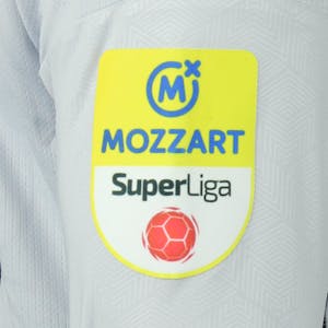 Milan Borjan FK Crvena zvezda shirt