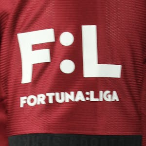 Ladislav Krejci | Sparta Praha