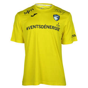 Arthur Desmas Havre AC jersey