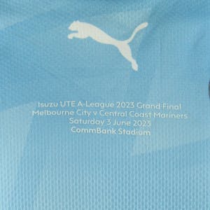 Mathew Leckie Melbourne City shirt