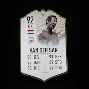 Edwin van der Sar - 2