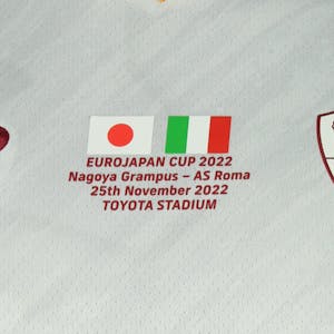 Nicolò Zaniolo | AS Roma