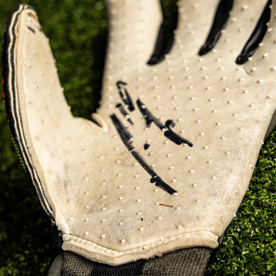 Jiri Pavlenka | Goalkeeper Gloves - 2