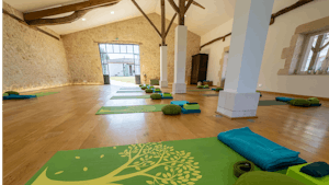 7 Day Organic Juice Detox & Yoga Retreat, Maison de Lunel