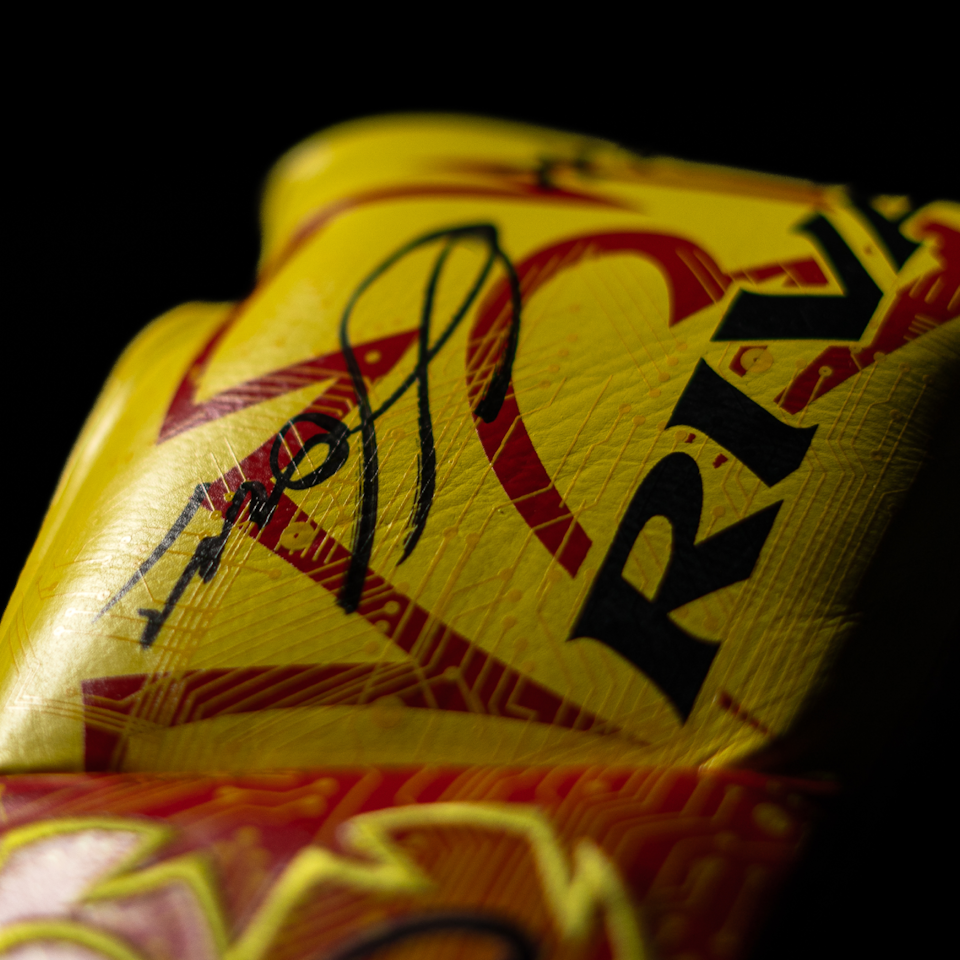 Boxing Glove - Vasyl Lomachenko