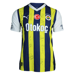 Edin Džeko Fenerbahçe shirt