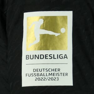 MinJae Kim Bayern München forması
