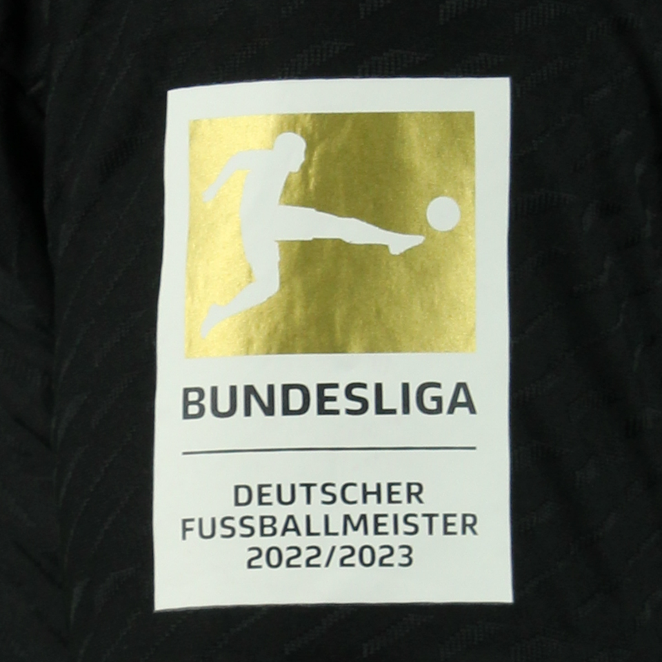 A. Ibrahimovic Bayern München shirt