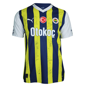 Edin Džeko Fenerbahçe shirt