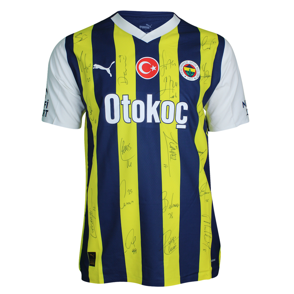 Edin Džeko Fenerbahçe shirt