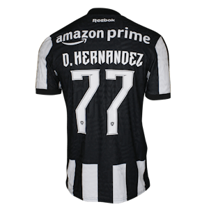 Diego Hernández Botafogo jersey
