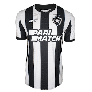 Tchê Tchê Botafogo jersey