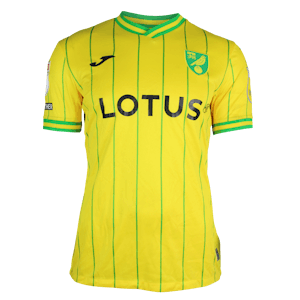 Dimitris Giannoulis Norwich City shirt