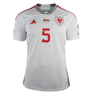 Chris Mepham Wales shirt