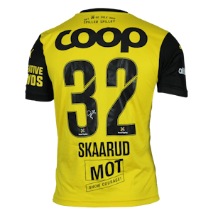Daniel Johan Skaarud