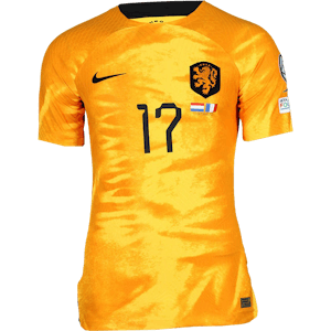 Daley Blind Netherlands shirt