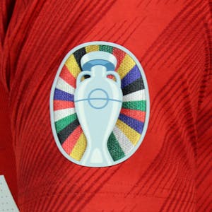 Harry Wilson Wales shirt