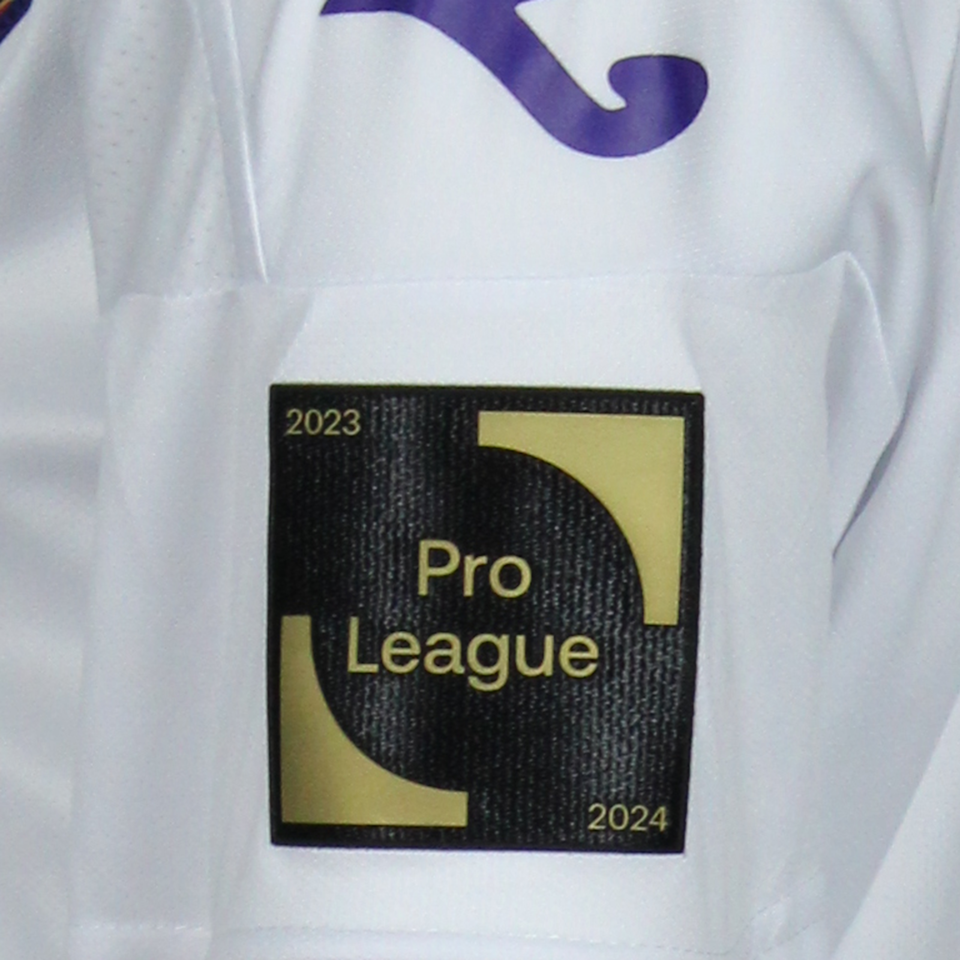 Tine De Caigny RSC Anderlecht W jersey
