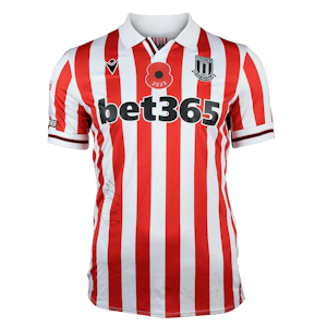 Camiseta Daniel Johnson Stoke City