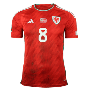 Shirt van Harry Wilson Wales