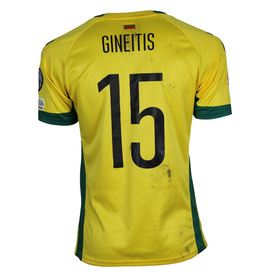 Gvidas Gineitis (vs. Hungary)