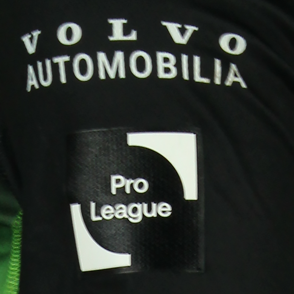 Flávio Nazinho