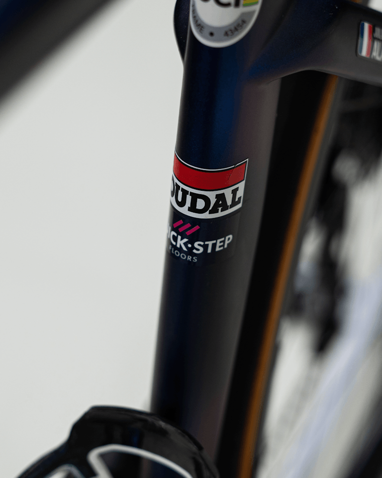 Julian Alaphilippe | Specialized S-Works Tarmac SL7