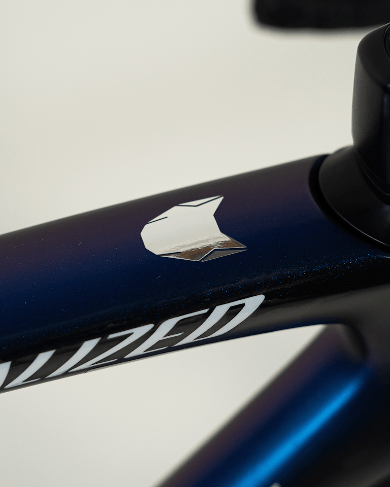 Julian Alaphilippe | Specialized S-Works Tarmac SL7