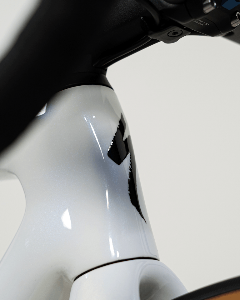 Remco Evenepoel | Specialized S-Works Tarmac SL7
