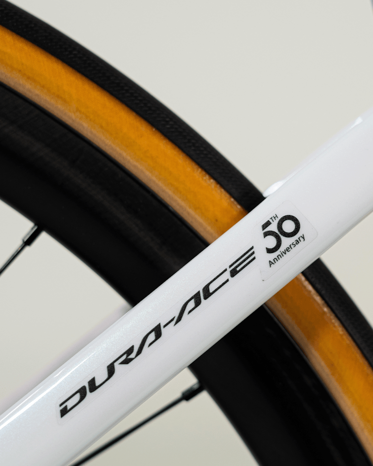 Remco Evenepoel | Specialized S-Works Tarmac SL7